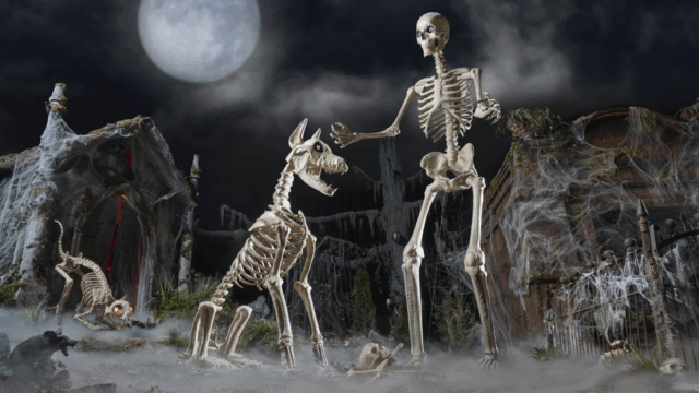 Alguns dos depósitos de casa gigantescos de Halloween Decors vendem à venda-consistindo em Skellys New Family Pets 

