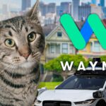 gato waymo san fran principal getty