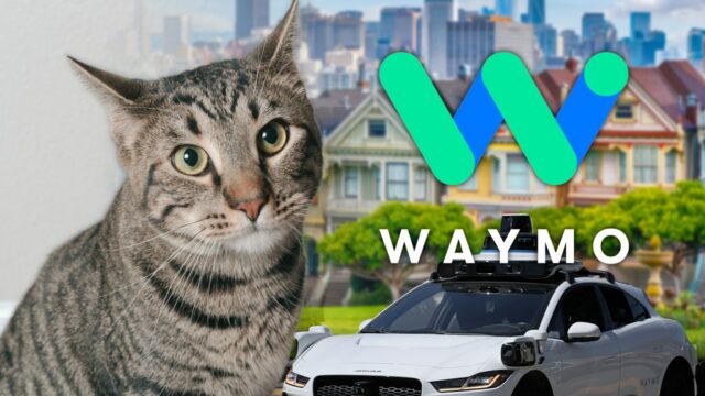 Amado gato Bodega de São Francisco morto por carro autônomo gato waymo san fran principal getty