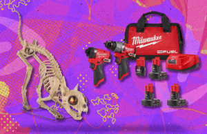 Antes do Prime Day, as melhores ofertas que você pode obter no Home Depot Get On Halloween Style Um gato esqueleto