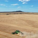 As colheitas de Esperance mostram suas verdadeiras cores sob uma estação de crescimento favorável