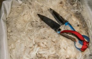 As marcas precisam pagar: apelo do presidente do AWI para aumentar os prêmios de lã credenciados As marcas precisam pagar: apelo do presidente do AWI para aumentar os prêmios de lã credenciados