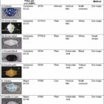 As opiniões das crianças podem ajudar a moldar um melhor design da máscara