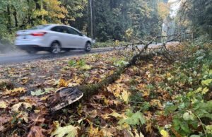As regiões de Pierce e Thurston sofrem mais danos após o furacão atingir a área Um mapa da Puget Sound Energy mostra quedas de energia em South Sound.