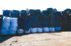 Autoridades revelam moradores locais participando de enorme procedimento proibido: ‘prejudica seriamente as áreas’ Yahoo news home