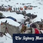 Os moradores com bois e cavalos ascendem durante os esforços de resgate para atingir centenas de caminhantes presos por neve pesada em acampamentos turísticos no Monte Everest, no Tibete, no domingo.