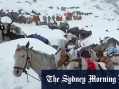 Blizzard prende centenas de caminhantes no Monte Everest Os moradores com bois e cavalos ascendem durante os esforços de resgate para atingir centenas de caminhantes presos por neve pesada em acampamentos turísticos no Monte Everest, no Tibete, no domingo.