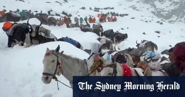 Os moradores com bois e cavalos ascendem durante os esforços de resgate para atingir centenas de caminhantes presos por neve pesada em acampamentos turísticos no Monte Everest, no Tibete, no domingo.