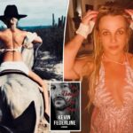 Britney Spears afirma que tem 'dano cerebral' enquanto o drama das memórias de Kevin Federline continua