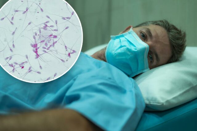 COVID pode estar mexendo com seu esperma – como isso pode afetar seus filhos ainda não nascidos, de acordo com um novo estudo

