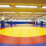 Campeonato Mundial Sub-23: A contagem de medalhas da Índia é de aproximadamente 7, enquanto Hansika e Sarika garantem a prata