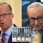 Chuck Schumer foi criticado por alegar que a paralisação é 'melhor' para os democratas - já que as tropas e os trabalhadores alimentados devem perder os primeiros contracheques