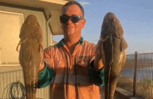 Cidadão britânico violento deportado da Austrália após apelo de ex-parceiro Terry Phillips