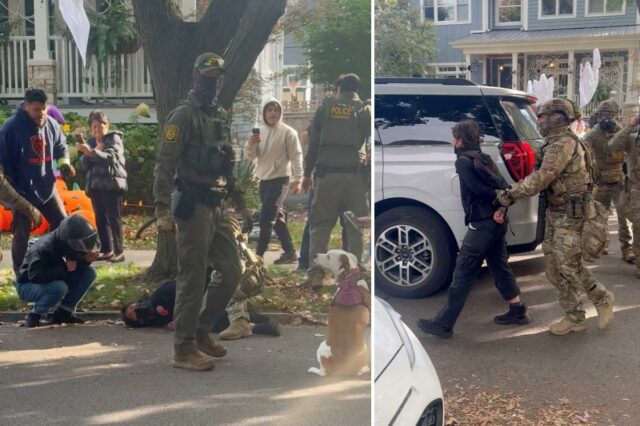 Cidadão dos EUA, 67 anos, quebra costelas depois que agentes Cidadão dos EUA, 67 anos, quebra costelas depois que agentes da Patrulha de Fronteira o arrastam para fora do carro em vídeo chocante: relatório