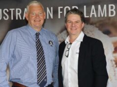 Como a WAMMCO se saiu no último exercício financeiro e o que está previsto para o próximo Como a WAMMCO se saiu no último exercício financeiro e o que está previsto para o próximo