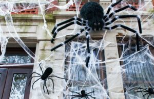 Conselhos de Sydney alertam contra decorações de Halloween Conselhos de Sydney alertam contra decorações de Halloween