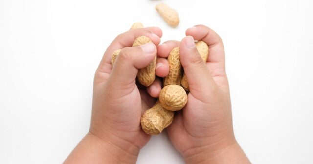 Conselhos para alimentar bebês com amendoim desde cedo e muitas vezes ajudaram milhares de pessoas a evitar alergias


