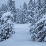 Cuidado com o clima de inverno, pois 16 polegadas de neve cairão neste fim de semana