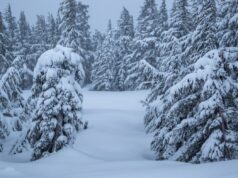 Cuidado com o clima de inverno, pois 16 polegadas de neve cairão neste fim de semana Cuidado com o clima de inverno, pois 16 polegadas de neve cairão neste fim de semana