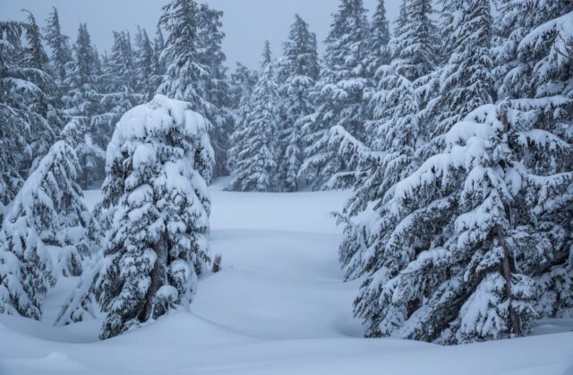 Cuidado com o clima de inverno, pois 16 polegadas de neve cairão neste fim de semana 

