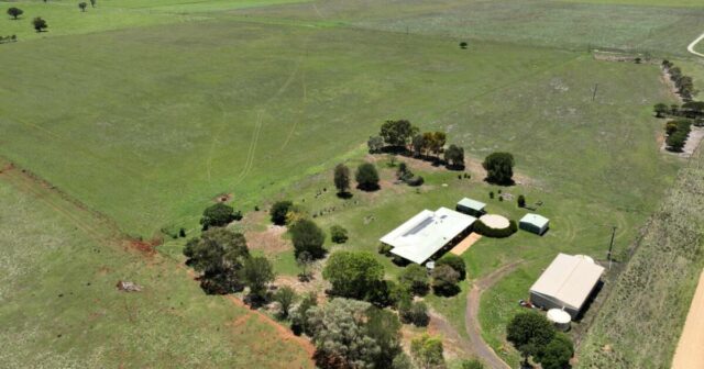 De agricultores a mineradores: pacto mineral crítico de US$ 13 bilhões para desencadear boom de prospecção de mata


