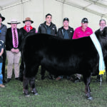 Dirija de cachorro preto voa para novos patamares no 2025 Perth Royal Show