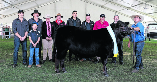 Dirija de cachorro preto voa para novos patamares no 2025 Perth Royal Show

