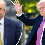 Donald Trump dá as boas-vindas a Anthony Albanese na Casa Branca