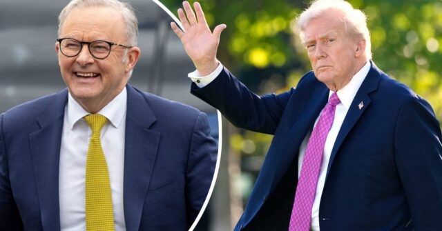 Donald Trump dá as boas-vindas a Anthony Albanese na Casa Branca


