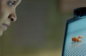 Drama de impacto de IA ‘Humans in the Loop’ chega aos cinemas nos EUA e pacto Netflix, revela trailer (EXCLUSIVO) Drama de impacto de IA 'Humans in the Loop' chega aos cinemas nos EUA e pacto Netflix, revela trailer (EXCLUSIVO)