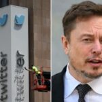 X CEO Elon Musk falando em um fórum de insight de inteligência artificial do Senado dos EUA.