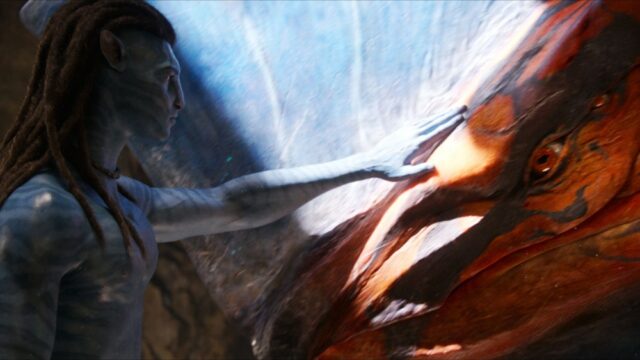 Enquanto os expositores franceses lutam contra a diminuição das bilheterias, o National Movie Board entra em ação com a estratégia de capital para situações de emergência 

