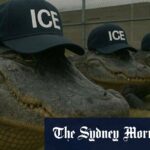 Um crocodilo surge para respirar nos Everglades.