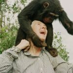 Especialista de chimpanzés, ativista lendária Jane Goodall morre com 91 anos