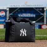 Especialista destrói Yankees após mais uma disputa confusa nos playoffs