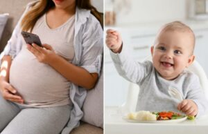 Esta dieta moderna pode ajudar a proteger os bebês contra o estresse do útero: estudo Esta dieta moderna pode ajudar a proteger os bebês contra o estresse do útero: estudo