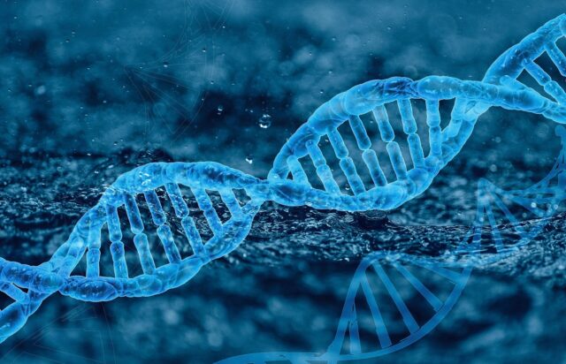 Edição de genes
