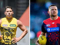 Acusações retiradas de dois campeões da AFL acusados de briga Dion Prestia Richmond Steven Mays Melbourne AFL
