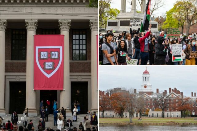 Estudantes conservadores de Harvard temem rejeição social e retaliação acadêmica Estudantes conservadores de Harvard temem rejeição social e retaliação acadêmica por causa de crenças de direita