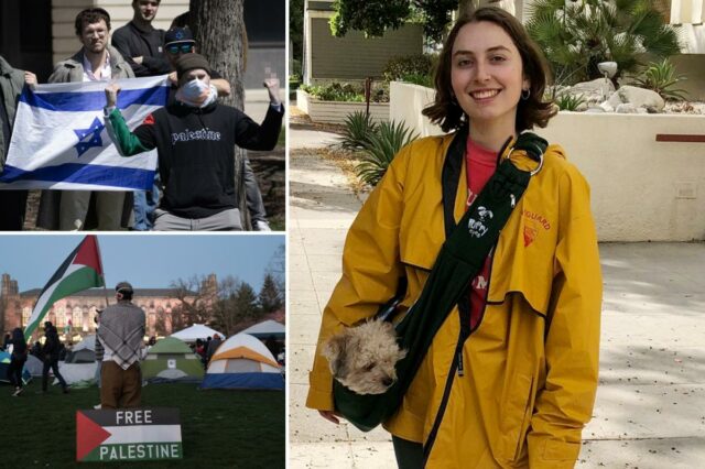 Estudantes pró-palestinos processam o treinamento obrigatório em antissemitismo da Northwestern

