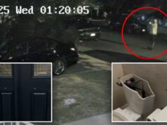 Ex-marido do professor de Nova York em escândalo sexual da escola, disparou tiros em sua casa: ‘Isso foi tentado assassinato’ Ex-marido do professor de Nova York em escândalo sexual da escola, disparou tiros em sua casa: 'Isso foi tentado assassinato'