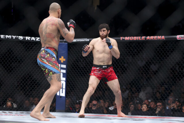 Exatamente como desfrutar do UFC 320: Live Stream Ankalaev vs Pereira, peça central, rede de televisão, cartão de batalha 

