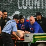Fã dos Piratas que caiu 20 pés sobre as cobranças do PNC Park Rail Faces