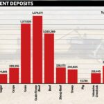 Febre aftosa versus custos agrícolas: o que está a ganhar a batalha pelos fundos dos agricultores