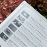 As configurações do Feedly são exibidas no Onyx Boox Go 10.3