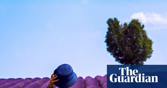 Férias assustadoras: os clientes do Airbnb e Booking.com lutam por reembolsos, pois mantém falha 

