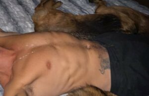 Figura calorosa de ‘Dancing With Destiny’, presuma isso! Fotos sem camisa de Sasha Farber