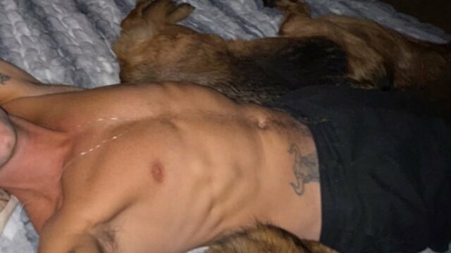 Fotos sem camisa de Sasha Farber
