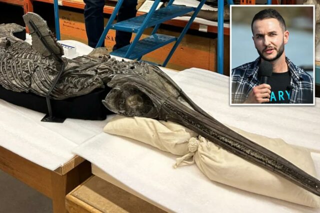 Fóssil descoberto na Inglaterra ligado ao réptil aquático ‘dragão espada’ de 185 milhões de anos

