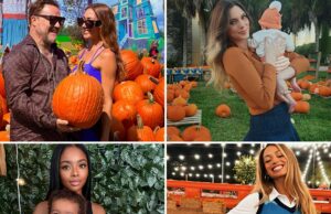 Fotos de abóbora estrela 2025 … É hora de Gourd Ole! Fotos de abóbora de celebridades 2025